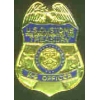 UNITED STATES DEPARTMENT OF THE TREASURY K-9 OFFICER BADGE PIN